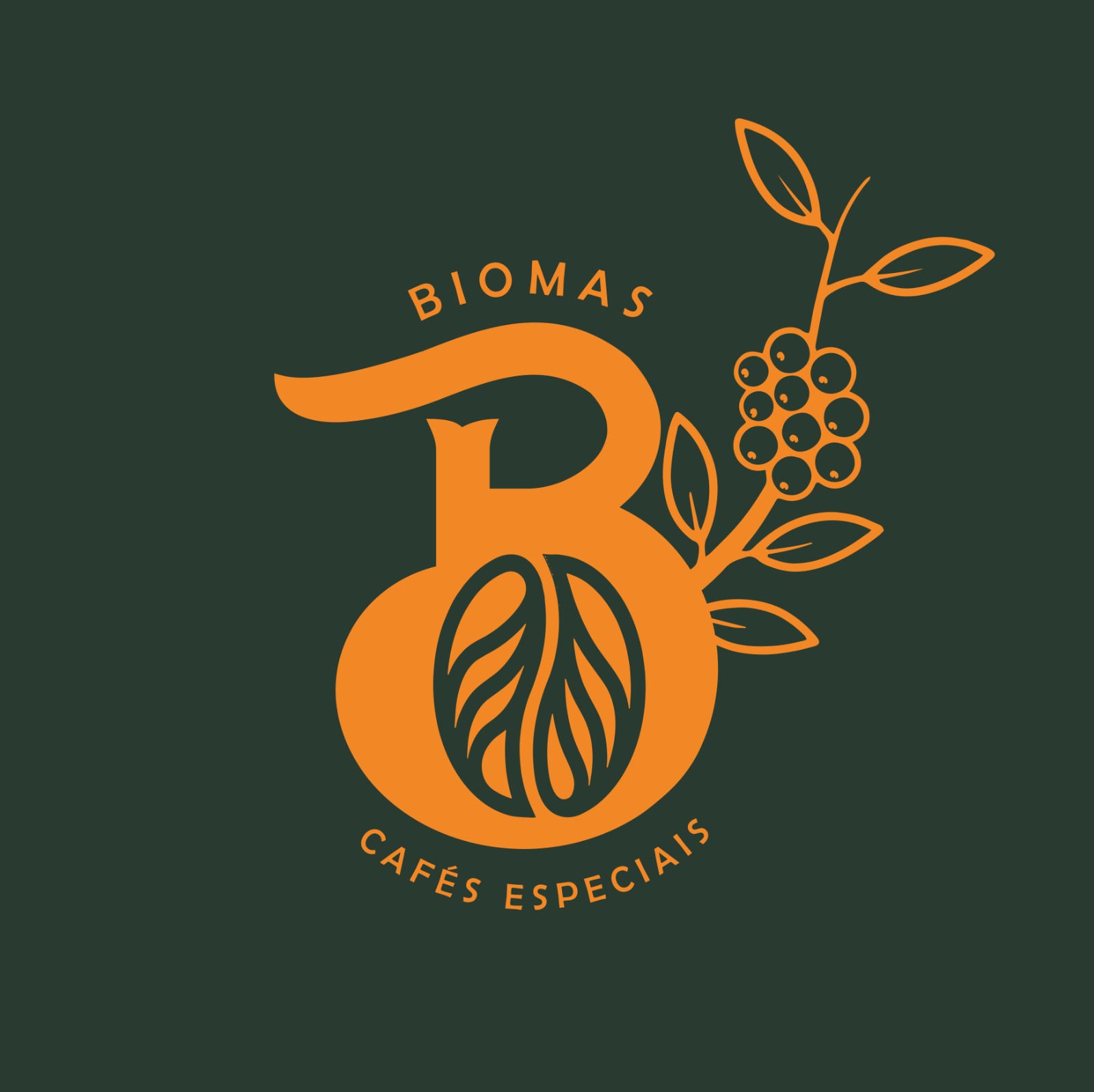 BIOMAS CAFÉS ESPECIAIS