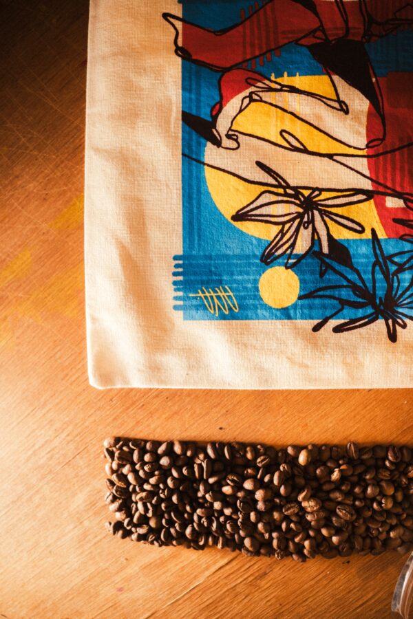 Ecobag Exclusiva 'Riscos e Risos' - Colab: Biomas + Paulo Paiva - Imagem 3